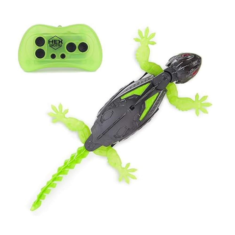 Untitled design - 2024-09-13T025716.359